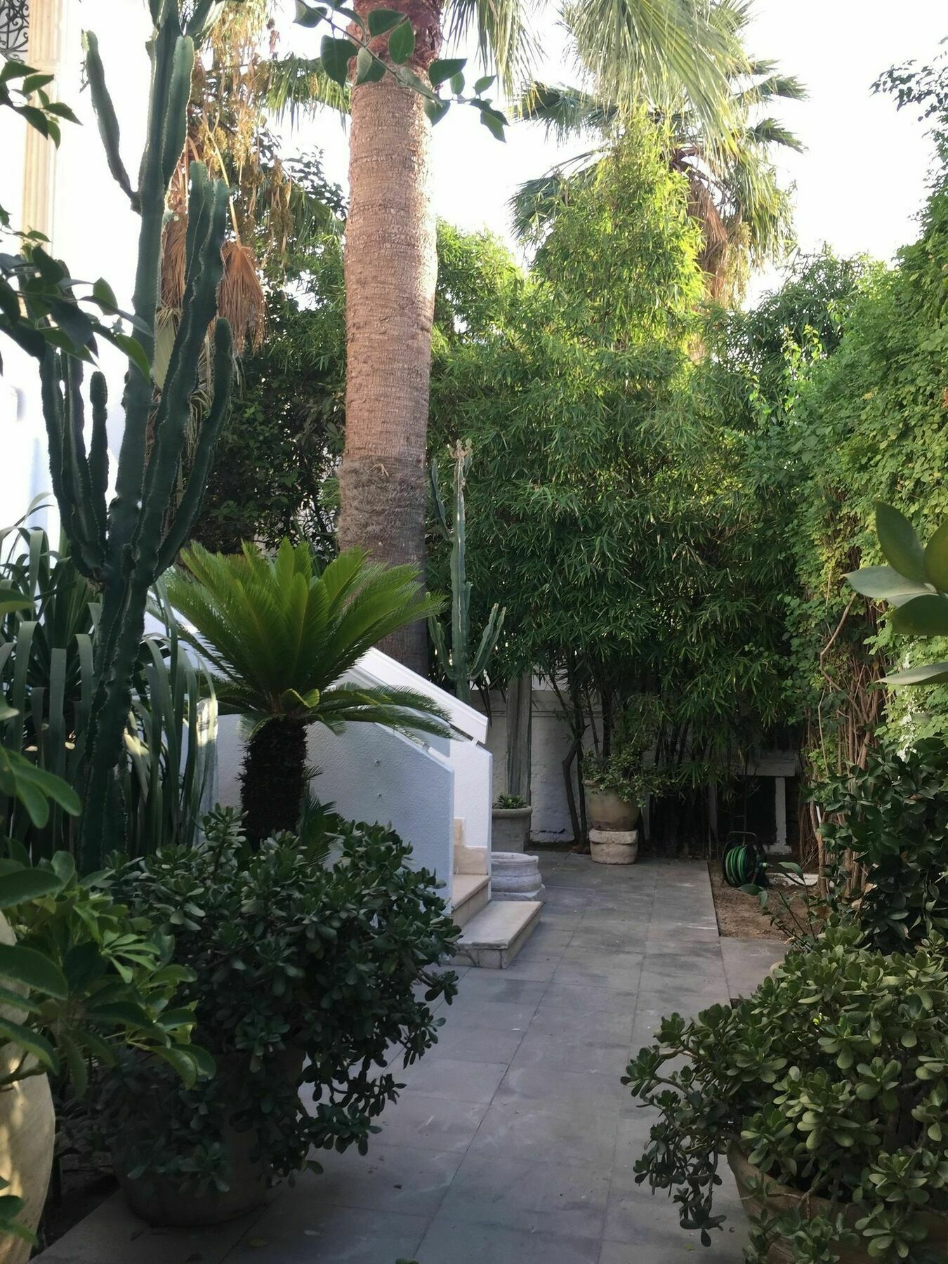 Apartament Le 5 Ter Tunis Zewnętrze zdjęcie